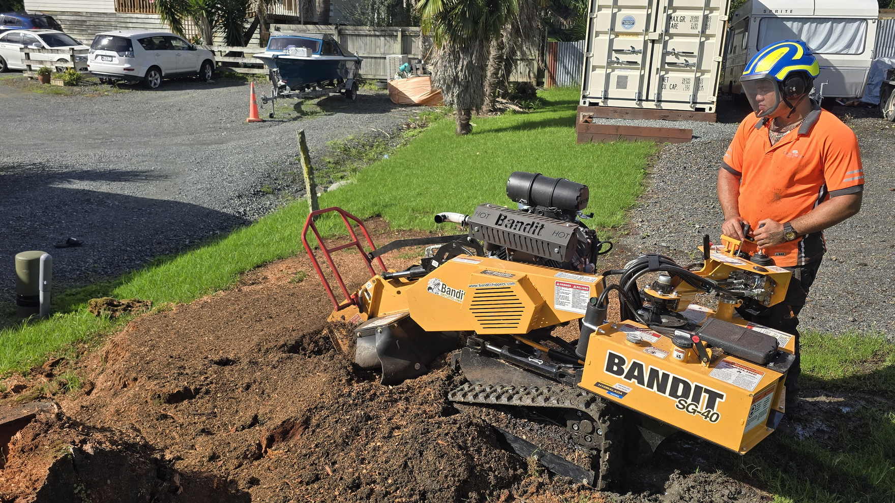 Operator in an orange work shirt and helmet guiding a yellow Bandit tracked stump grinder into a large stump beside a gravel driveway in Whangarei, with a pile of fresh wood chips in front of it
