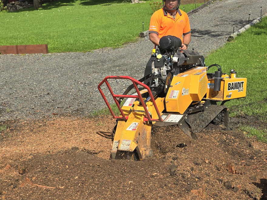 Freshly ground stump hole surrounded by wood chip mulch on a lawn