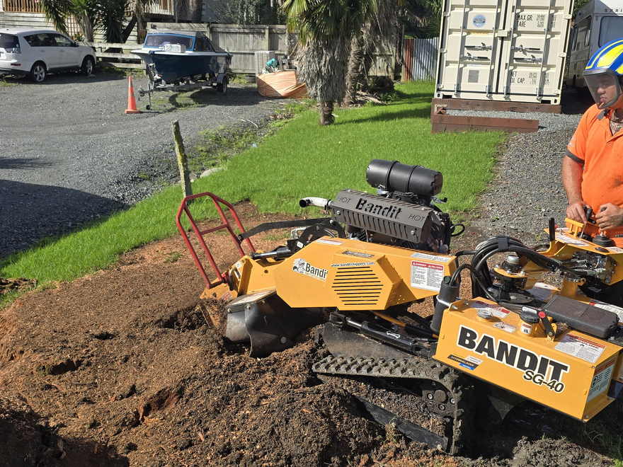 Tracked stump grinder chewing a large stump down into wood chips beside a driveway
